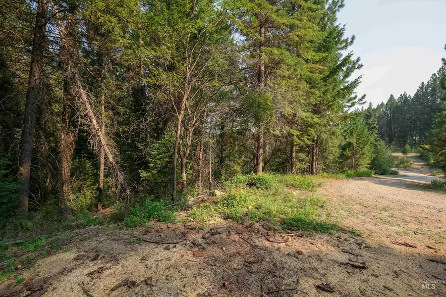 515 Collier View, Cascade, ID 83611 - #3