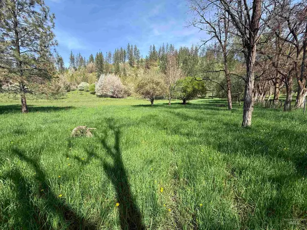 TBD Cashway Road Lot 1, Kamiah, ID 83536