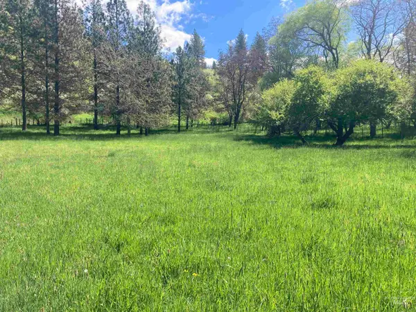 TBD Cashway Road Lot 2, Kamiah, ID 83536