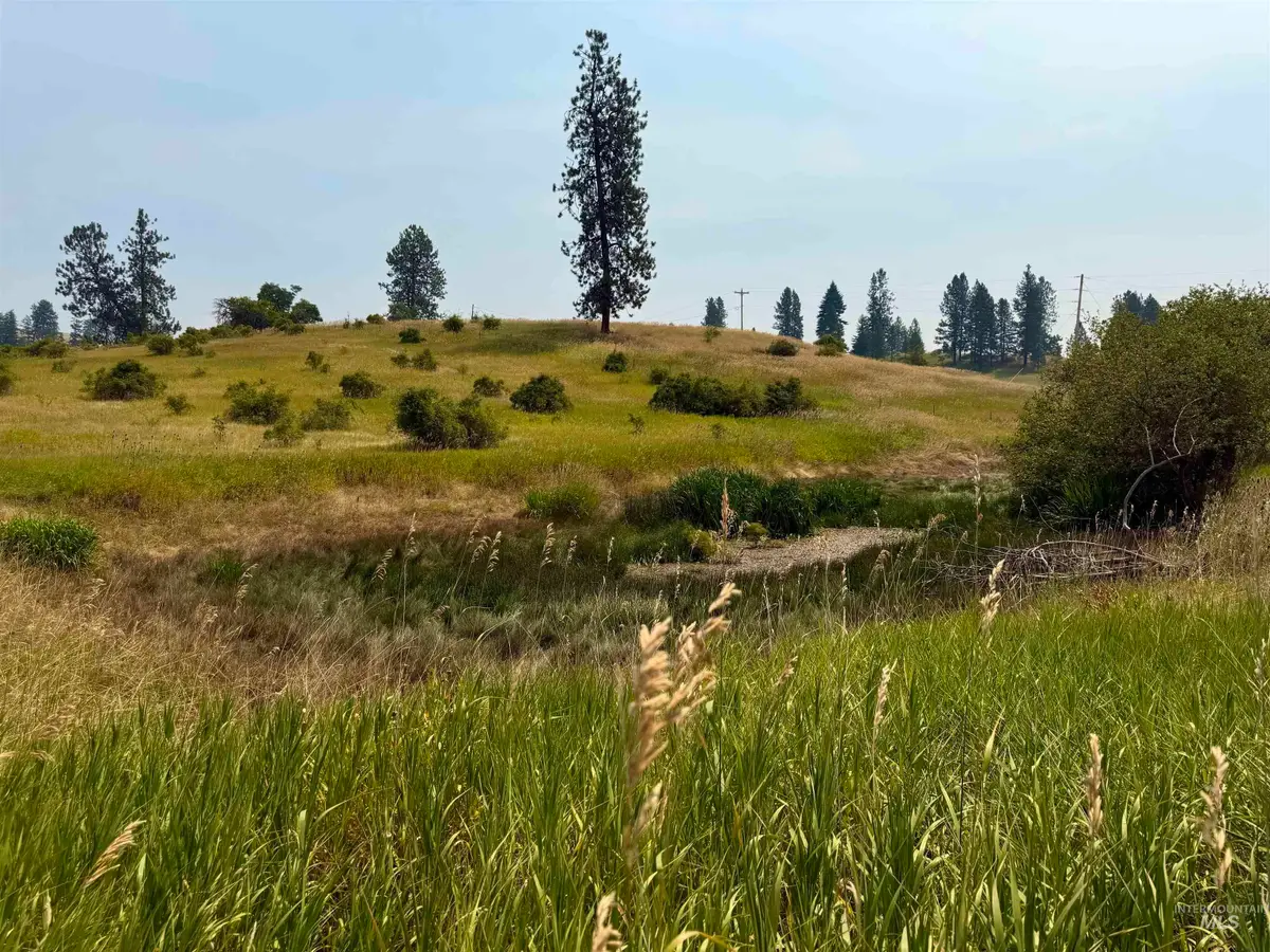 1003 Beaverslide Road, Kamiah, ID 83536 - #1