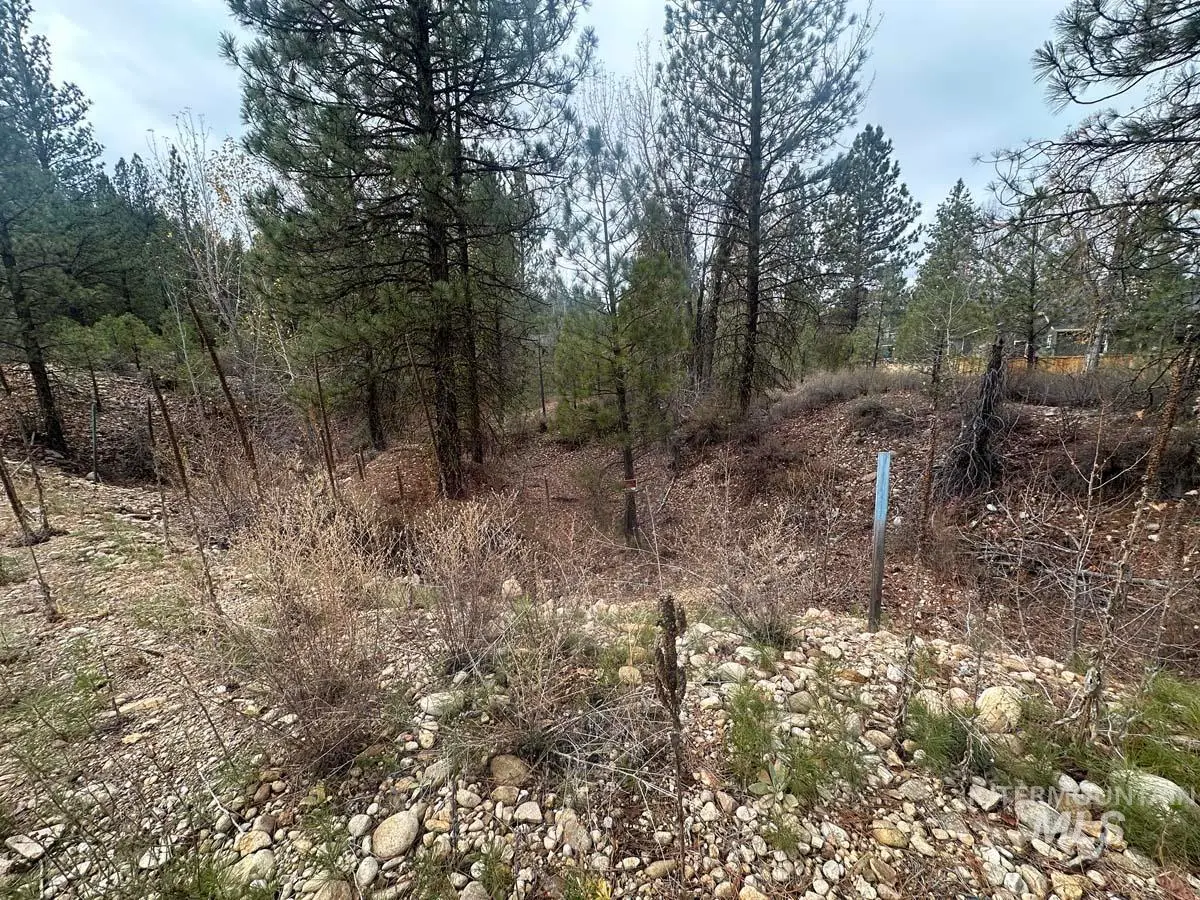 L51 Lily Loop, Idaho City, ID 83631 - #1