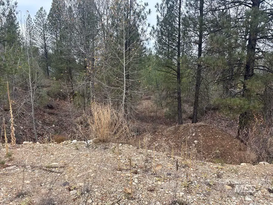 L51 Lily Loop, Idaho City, ID 83631 - #2