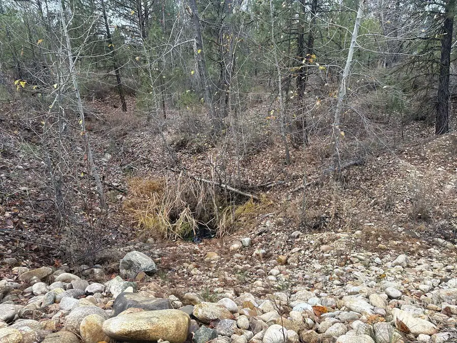 L51 Lily Loop, Idaho City, ID 83631 - #3