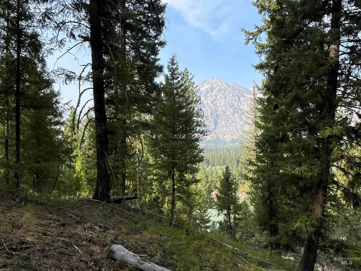 TBD Alturas, Garden Valley, ID 83601 - #1