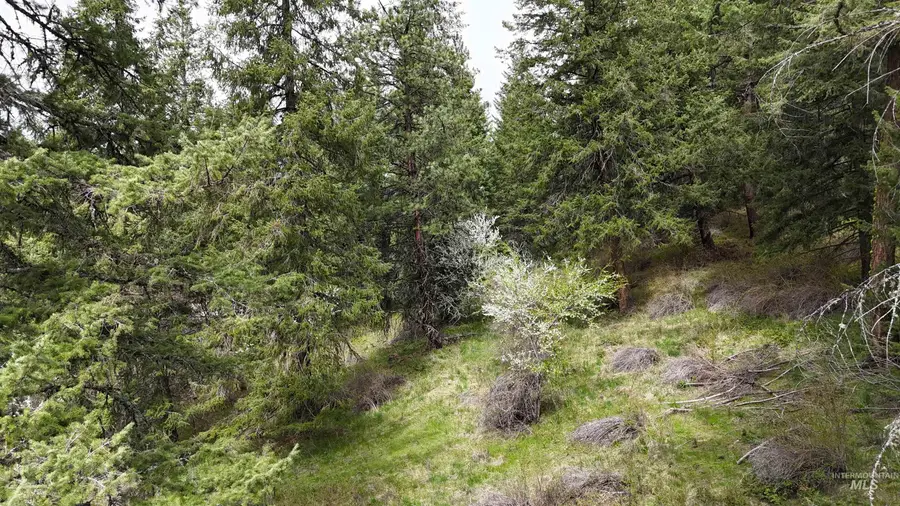 TBD Rocky Point Lane, Grangeville, ID 83530 - #3