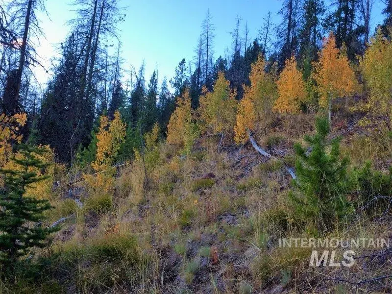 1.38 AC Main Street, Warren, ID 83671 - #3