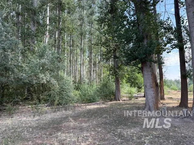 TBD N River Road, Payette, ID 83661 - #2