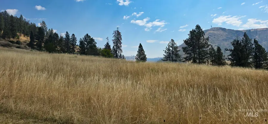 tbd Larradon Dr, Kamiah, ID 83536 - #3