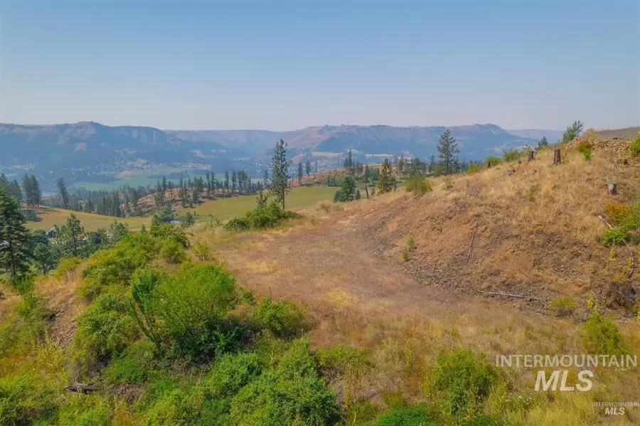 TBD Lot #4 Beaverslide Rd, Kamiah, ID 83536 - #2