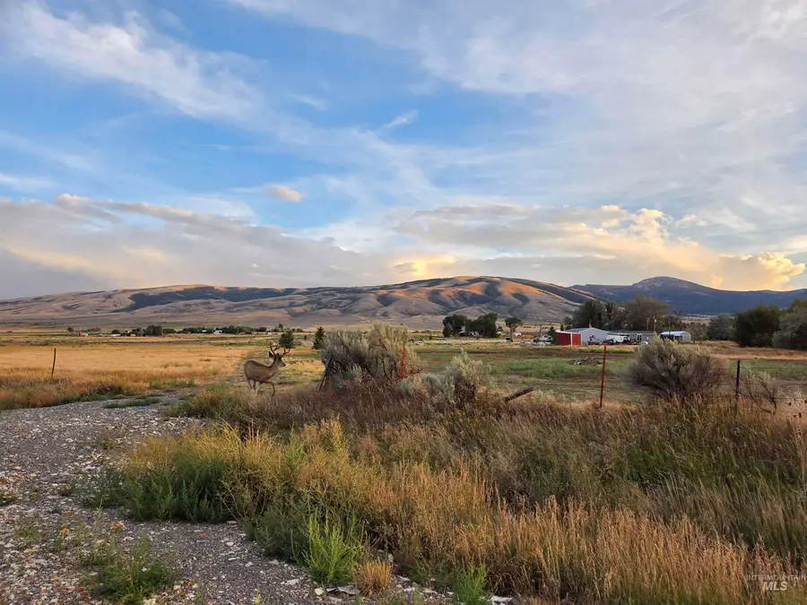 Lot 6, Block 1 Honey Locust, Albion, ID 83311 - #3