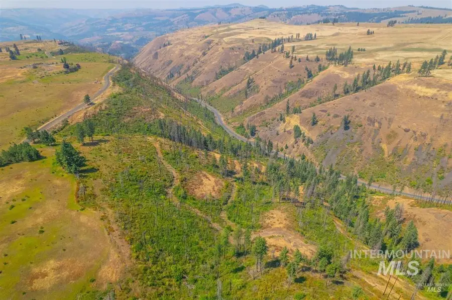 TBD Beaverslide Rd, Kamiah, ID 83536 - #2