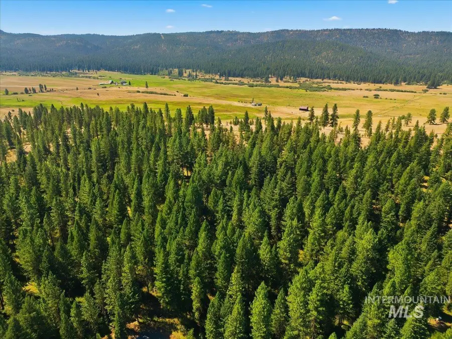BLK 3 LOT 5&8 South End Road, New Meadows, ID 83654 - #2