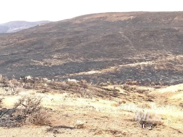TBD Rock Creek #2, Weiser, ID 83672 - #1