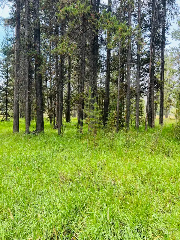 Lots 9&10 Warren Wagon Road, Secesh, ID 83547