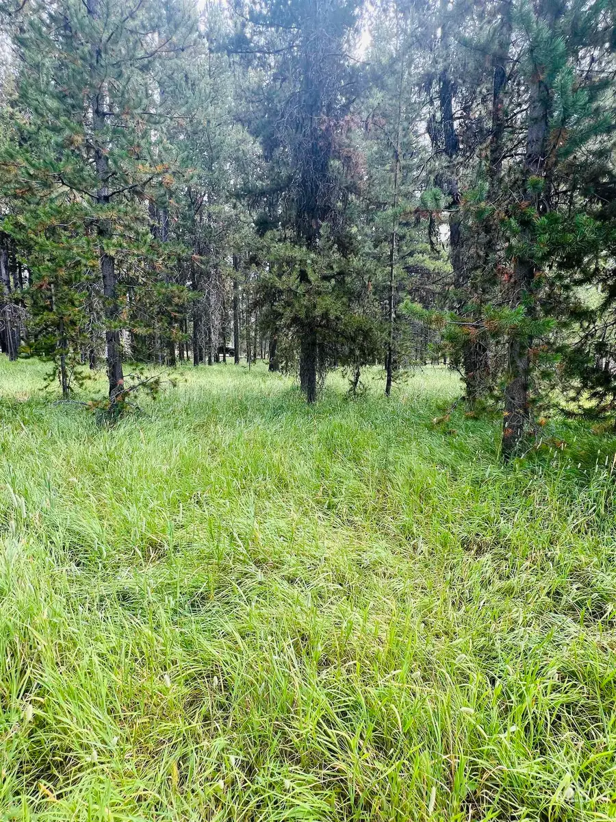 Lots 9&10 Warren Wagon Road, Secesh, ID 83547 - #2
