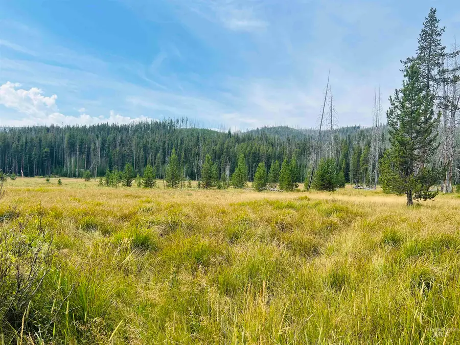 Lots 9&10 Warren Wagon Road, Secesh, ID 83547 - #3