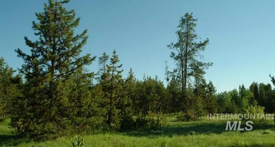 206 W Morgan Drive, McCall, ID 83638 - #2