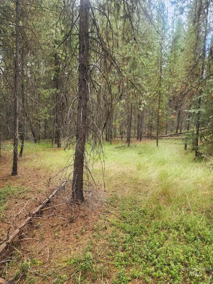 TBD Wheeler Mountain Road, Elk City, ID 83525 - #3