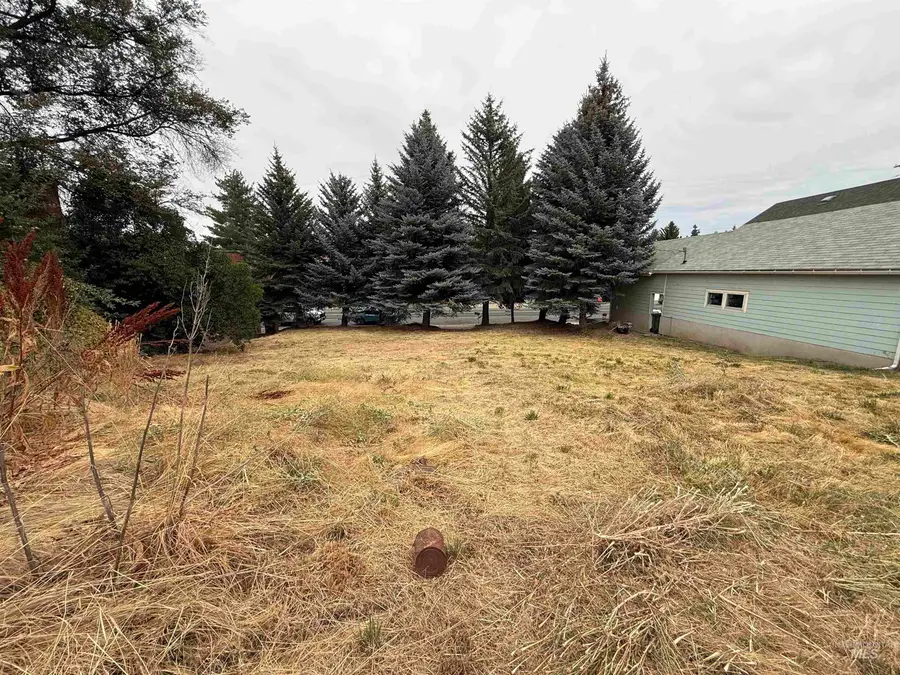 TBD S Montgomery St, Uniontown, WA 99179 - #2