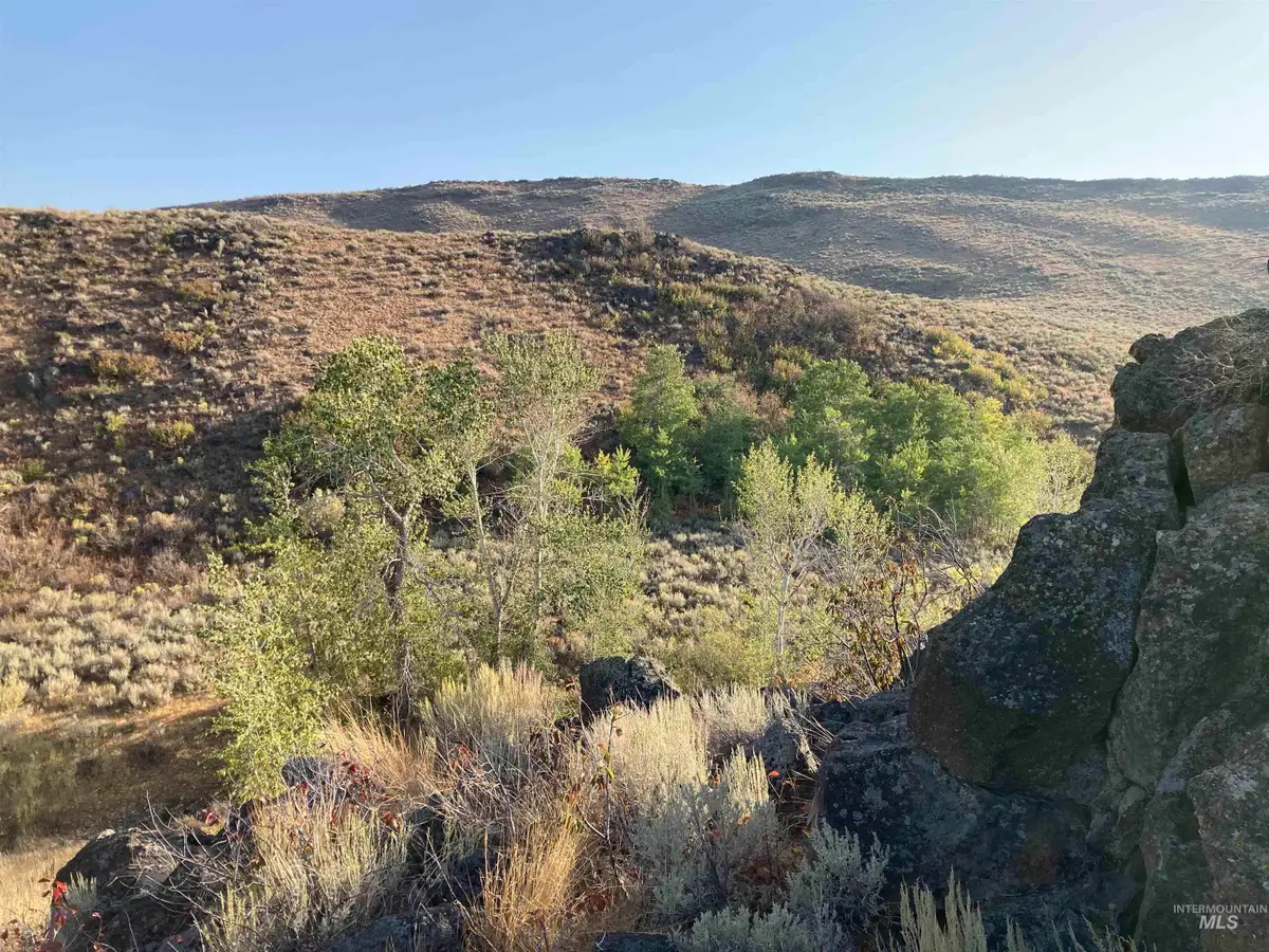 Poison Creek Road, Bellevue, ID 83313 - #1