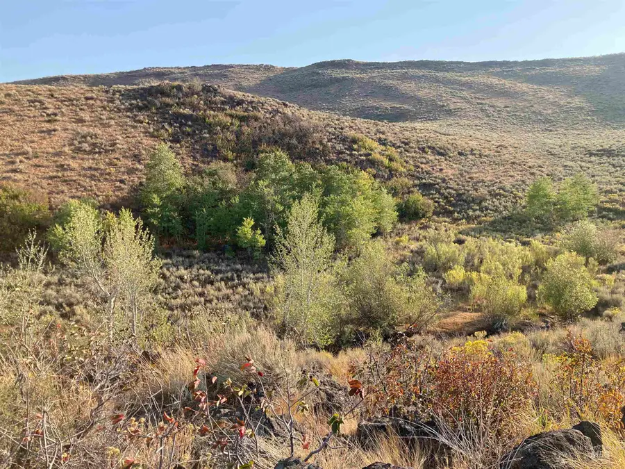 Poison Creek Road, Bellevue, ID 83313 - #3