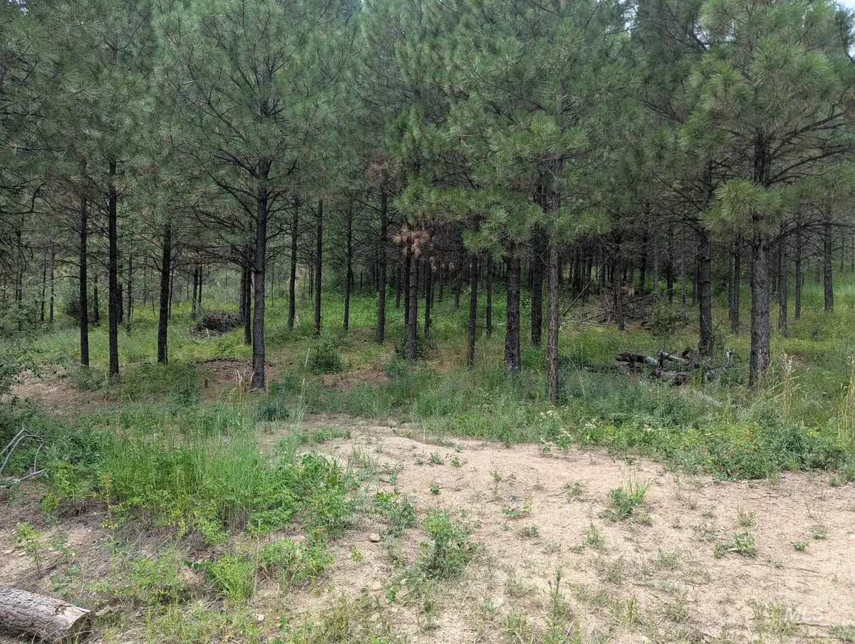 Lot 4 Plateau Rd, Lowman, ID 83637 - #1
