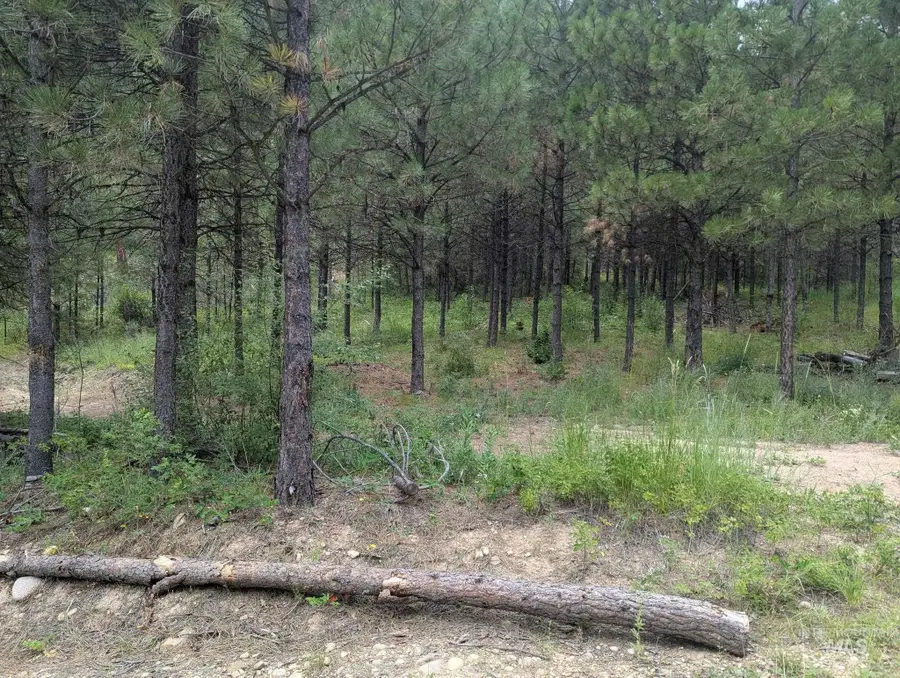 Lot 4 Plateau Rd, Lowman, ID 83637 - #2
