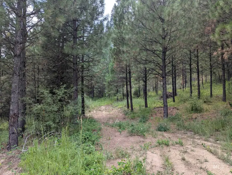 Lot 4 Plateau Rd, Lowman, ID 83637 - #3
