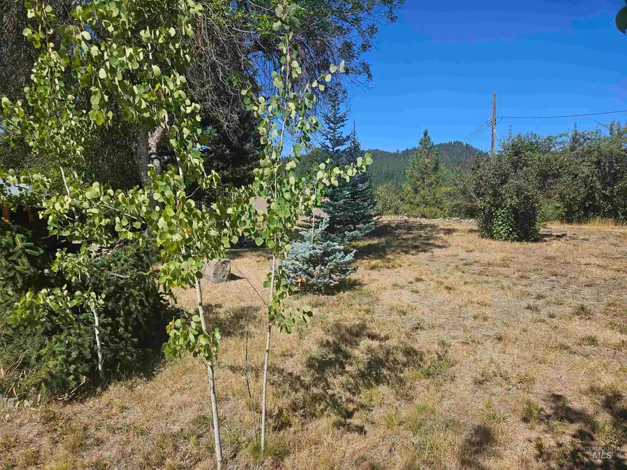 204 E Walulla Street, Idaho City, ID 83631 - #3