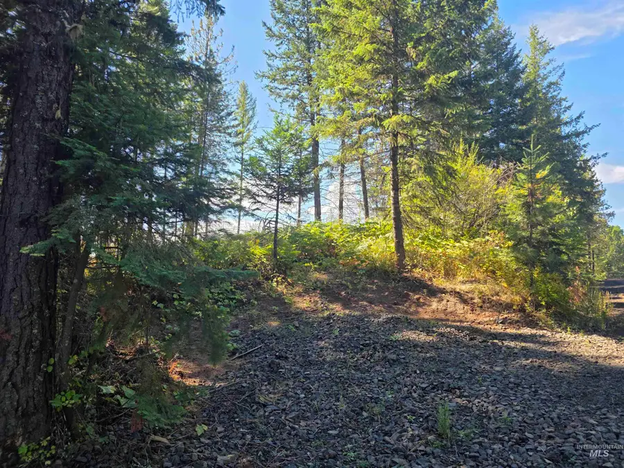 0 Schmidt Mill Road, Weippe, ID 83544 - #2