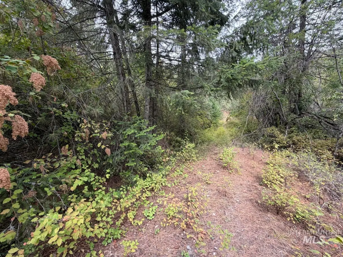 NKA Snowberry Lane Lot 13, Saint Maries, ID 83861 - #1