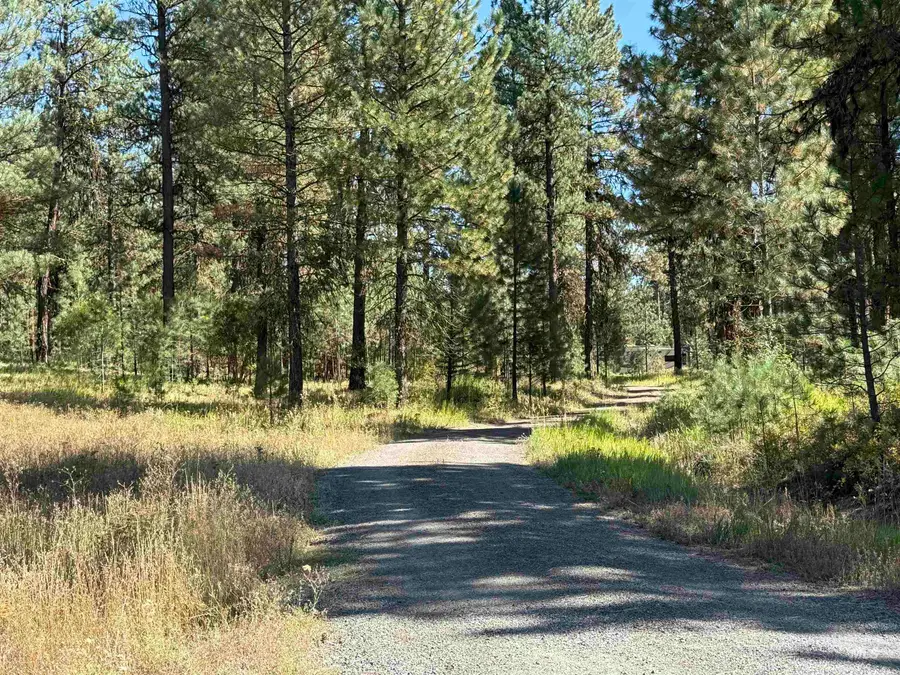 TBD Timber Ridge Drive, New Meadows, ID 83654 - #2