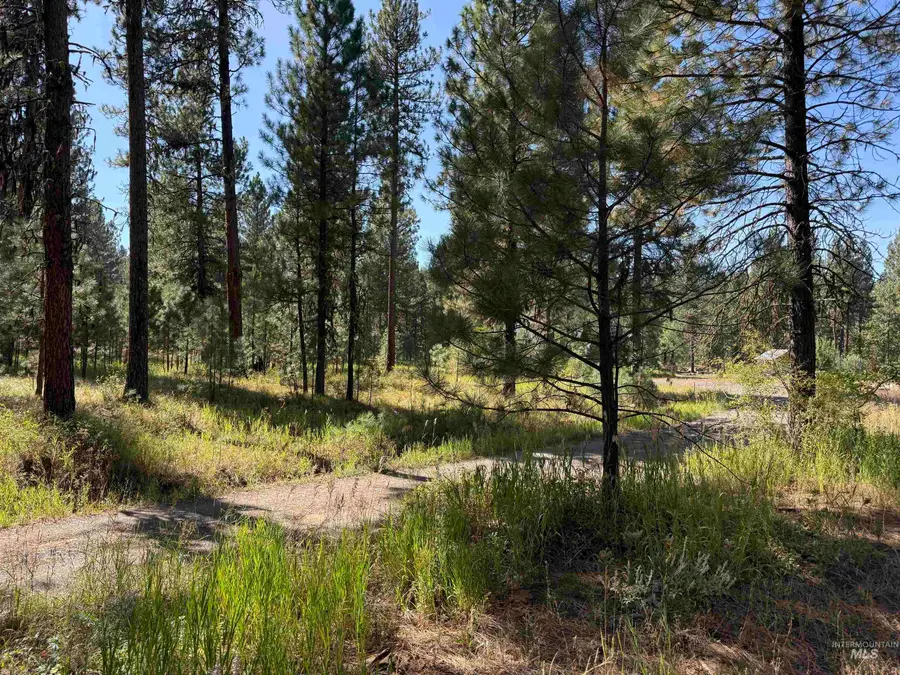 TBD Timber Ridge Drive, New Meadows, ID 83654 - #3