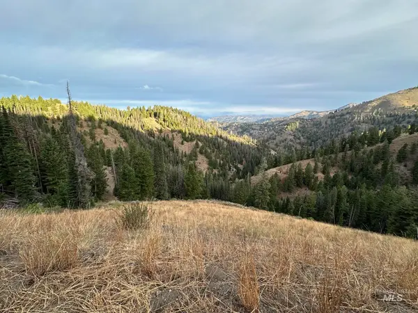 Carrie Creek Rd. Smokey Mountains, Fairfield, ID 83327