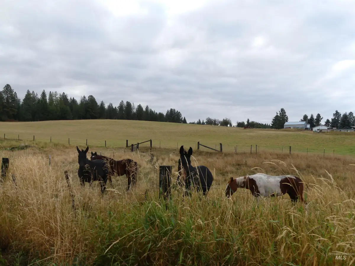 1385 Cottonwood Butte Rd, Cottonwood, ID 83522 - #1