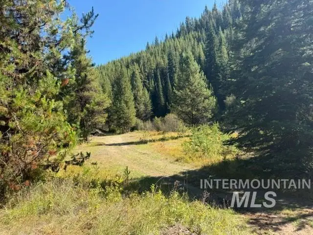 TBD American Eagle Properties Survey 1810 & 1881, Elk City, ID 83525 - #3