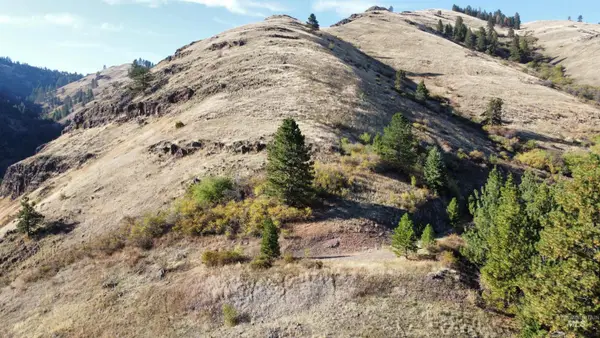 TBD Big Canyon Road, White Bird, ID 83554