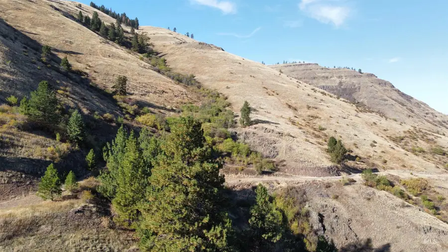 TBD Big Canyon Road, White Bird, ID 83554 - #2
