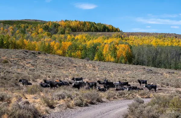 Approx. 300 Antelope Springs Rd., Rogerson, ID 83302