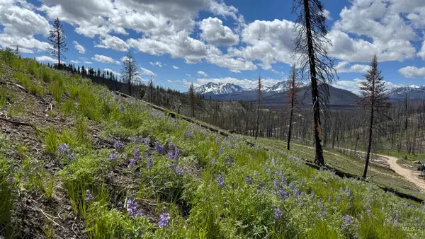 TBD Valley Creek Rd., Stanley, ID 83278