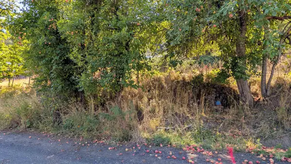 TBD Pine St Blk 43, Lot 1, Peck, ID 83545