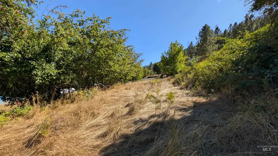 TBD Pine St Blk 43, Lot 1, Peck, ID 83545 - #2