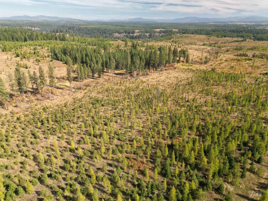 0 Timberline Heights, Parcel 2, Weippe, ID 83553 - #2