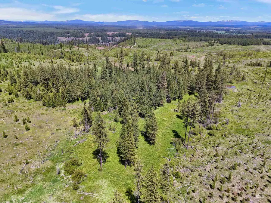 0 Timberline Heights, Parcel 2, Weippe, ID 83553 - #3