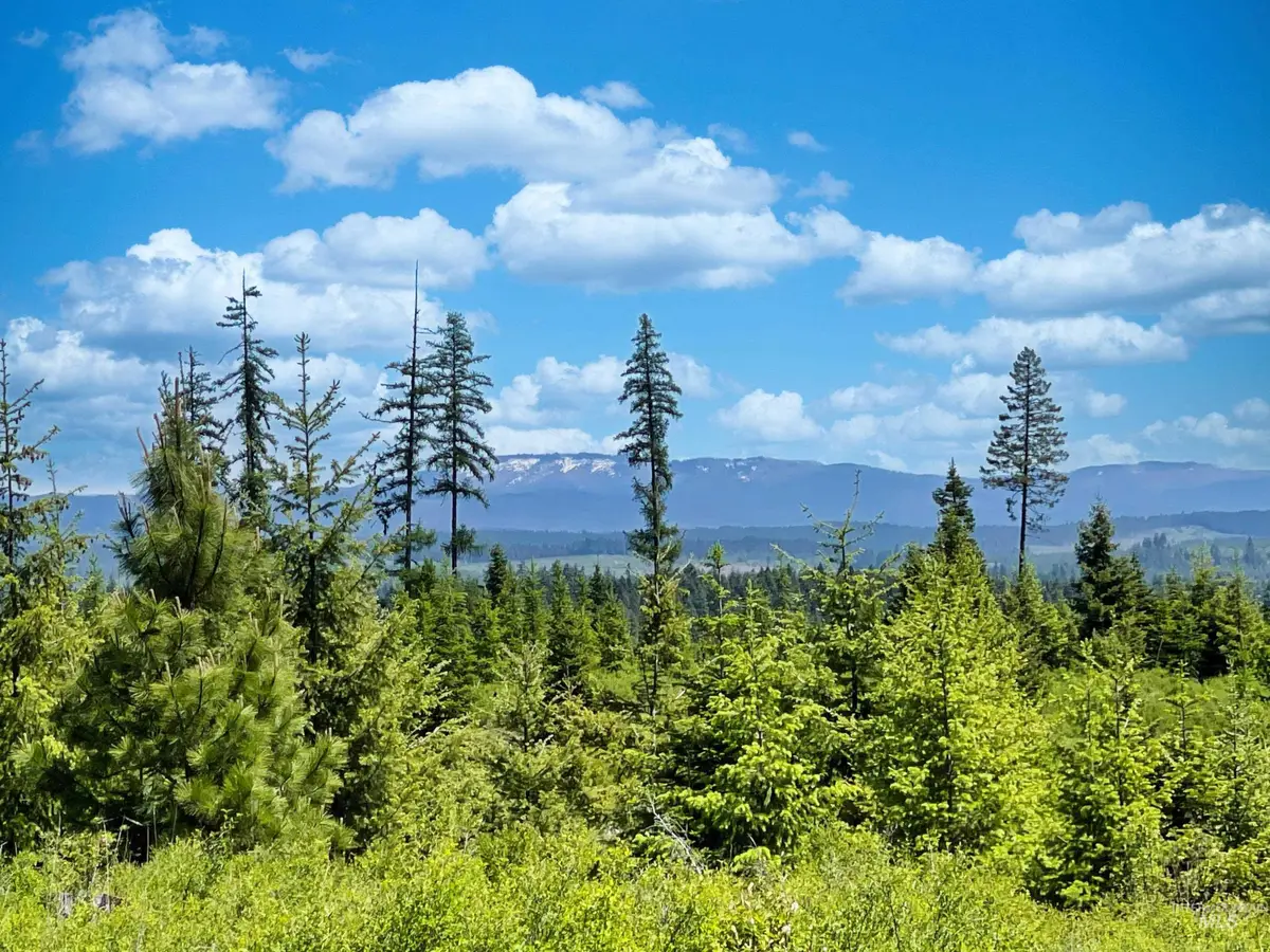 0 Timberline Heights, Parcel 4, Weippe, ID 83553 - #1