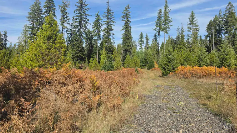 0 Timberline Heights, Parcel 4, Weippe, ID 83553 - #2