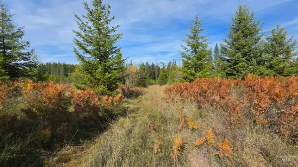 0 Timberline Heights, Parcel 5, Weippe, ID 83553