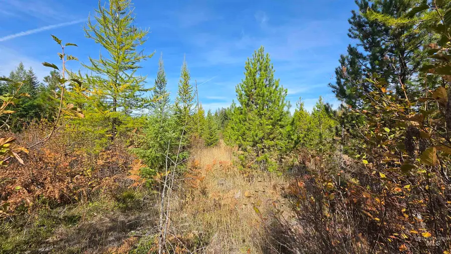 0 Timberline Heights, Parcel 5, Weippe, ID 83553 - #2