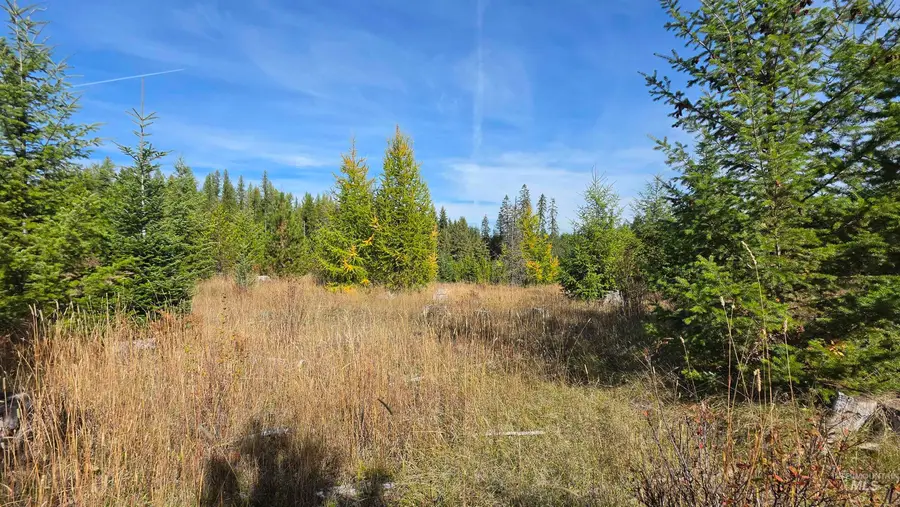 0 Timberline Heights, Parcel 5, Weippe, ID 83553 - #3