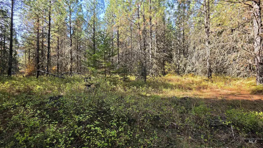 0 Timberline Heights, Parcel 6, Weippe, ID 83553 - #3